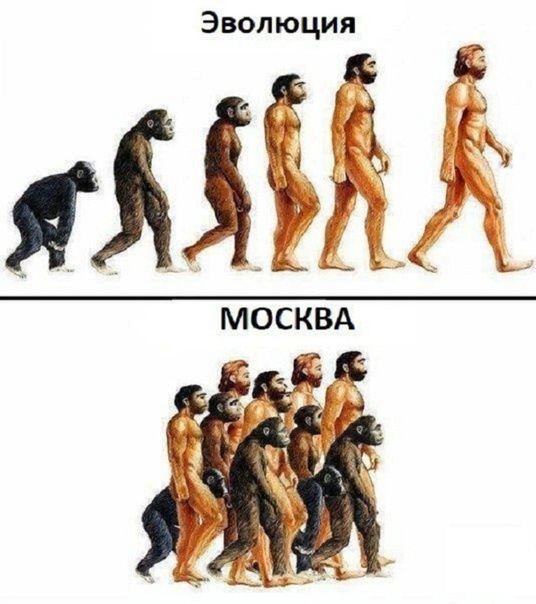 Эволюция яЦЁМ МОСКВА