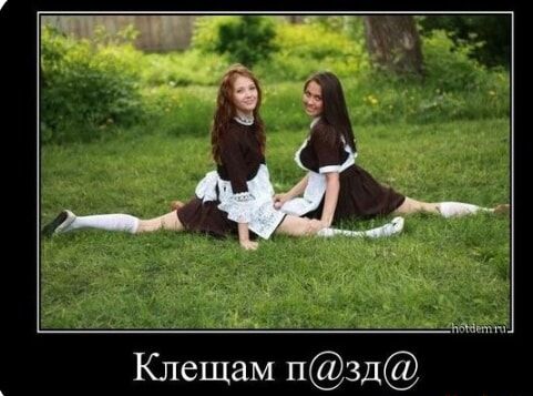 Клещам пзд