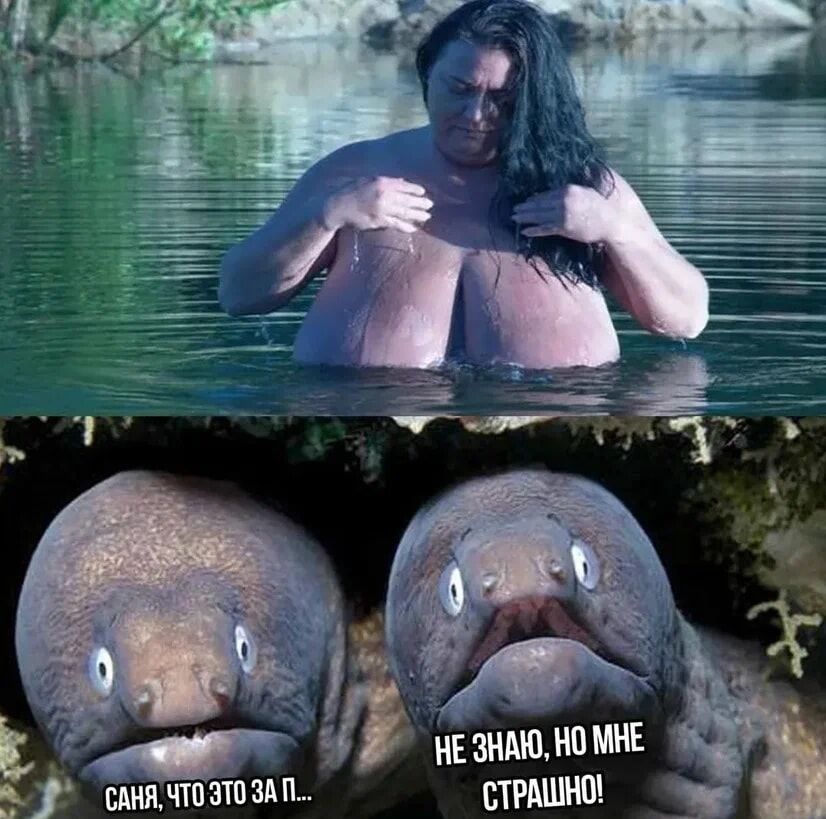 _ г РЪ шимшзшдп