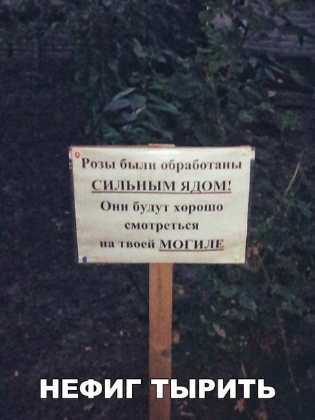 г _п1_ш Ги щюпш тош пп ин и п П НЕФИГ ТЫРИТЬ