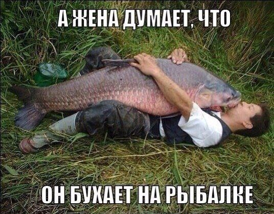 д ЖЕН дУМдЕТЧЮ