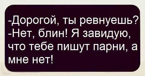 Дорогой ты ревнуешь Нет блин Я завидую что тебе пишут парни а мне нет