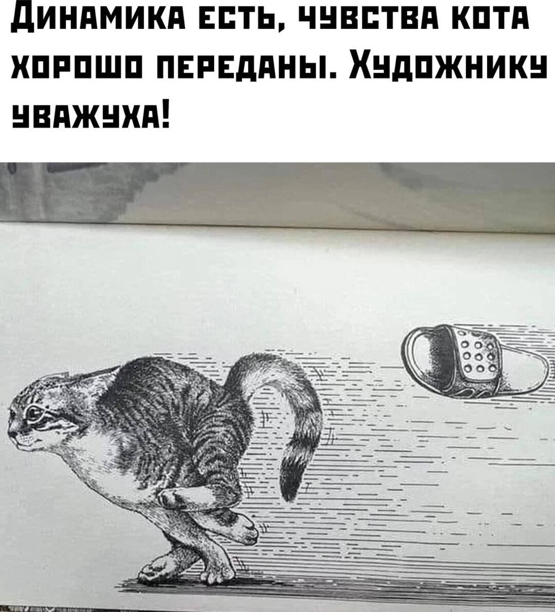 динамики Есть чннптвп кптп хпппшп пвиндпны Хндпжникн нвпжнхп