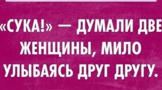 СУКА дУМАЛИ дВЕ ЖЕНЩИНЫ МИЛО УЛЫБАЯСЬ дРУГ дРУП