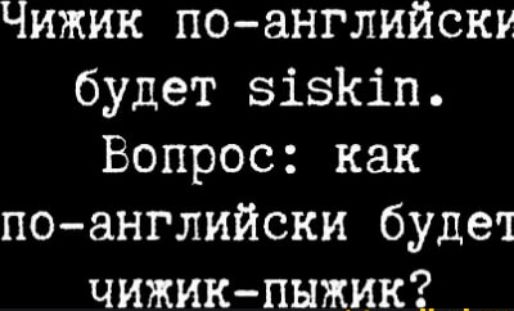 Чижик поанглийски будет зізКіп Вопрос как поанглийски будеч чижик пыжик _