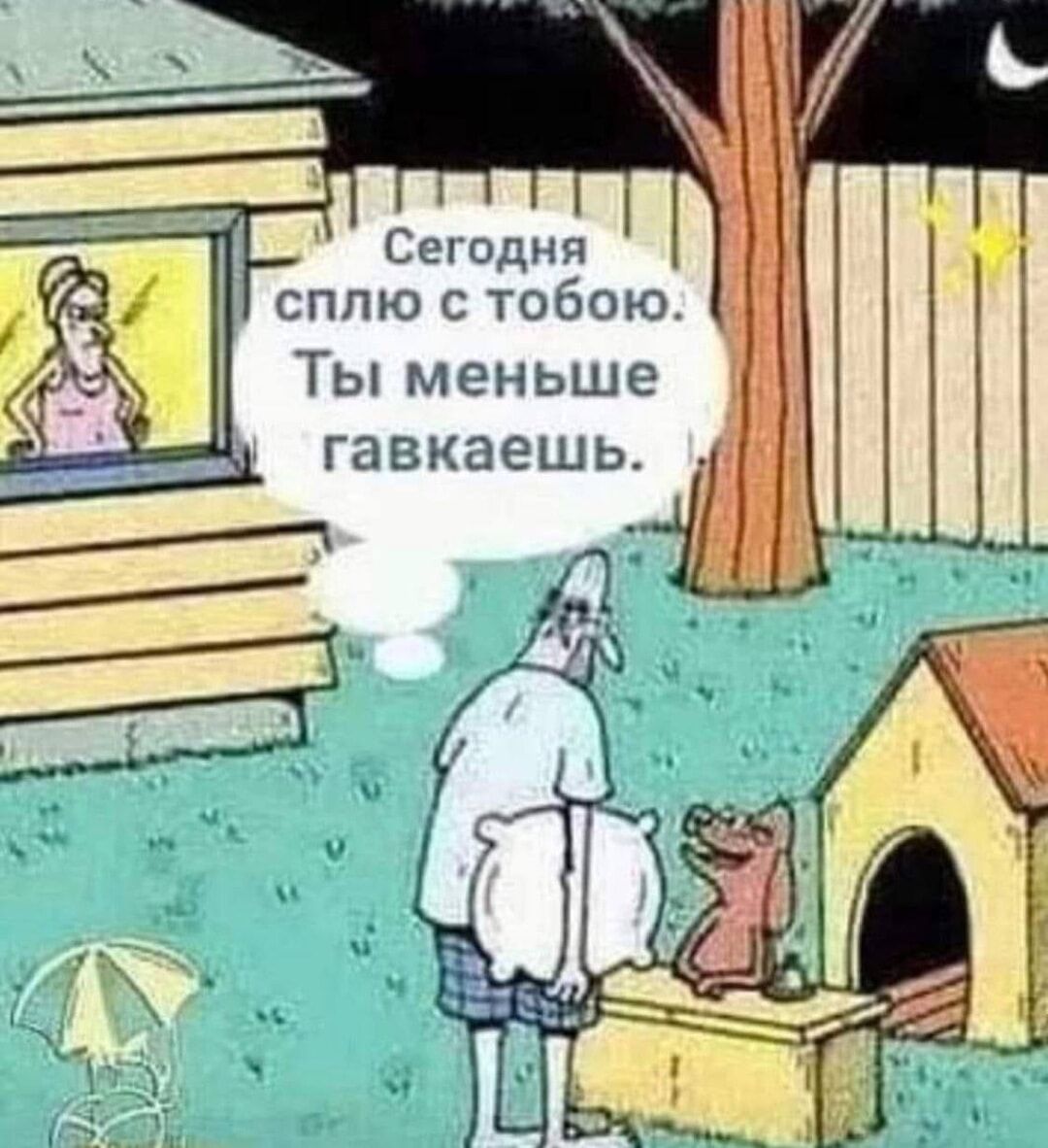 Сегодня сплю с тобою Ты меньше гавкаешь
