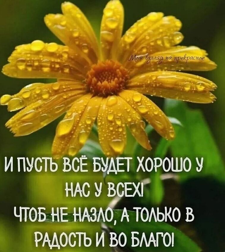 И ПУСТЬ ВСЁ БАЕТ ХОРЁШО У НАС У Б ЕХГ ЧТОБ НЕ НАЗ А ТОАЬКО В РМОСТЬ И ВО БААГО