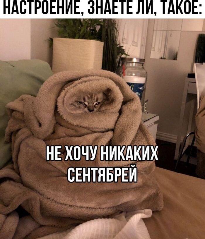 нехочунищих СЕНТЯБРЕИ