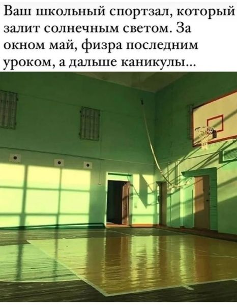Ваш школьный спортзал который залит солнечным светом За окном май физра последним уроком а дальше каникулы