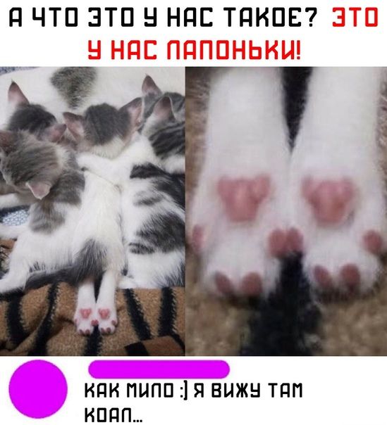 П ЧТП ЭТП НПБ ТПКПЕ КПК ПЦПП Я ВНЖ ТПП ИППП
