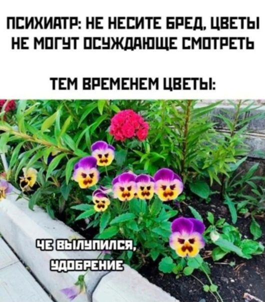ПЕИХИПТР НЕ НЕЕИТЕ БРЕД ЦВЕТЫ НЕ МПГНТ ПЕНЖддШЩЕ ЕМПТРЕТЬ ТЕМ ВРЕМЕНЕМ ЦВЕГЫ ВЫПЕПИЛСП 8 ЩПБРЕНИЕ