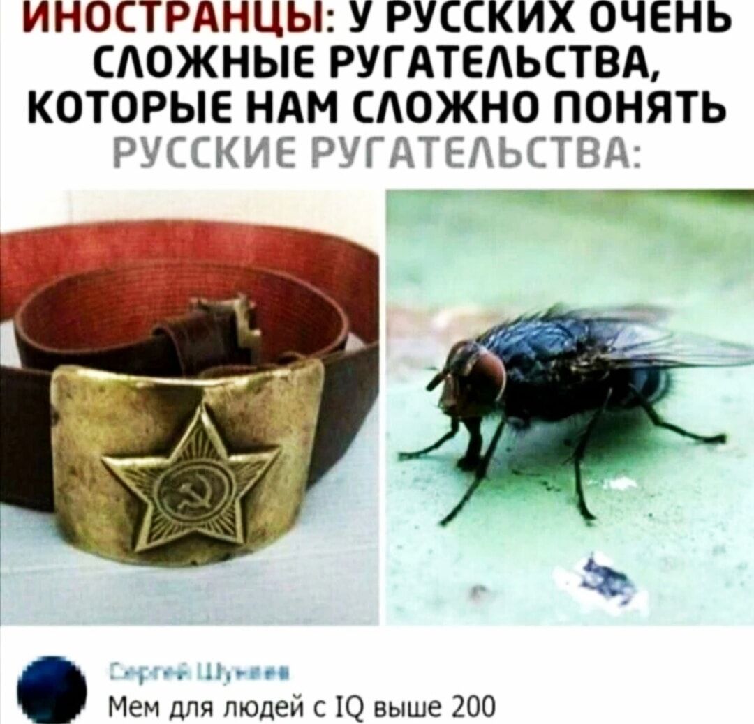 ИНОСТРАНЦЫ У РУССКИХ ОЧЕНЬ СЛОЖНЫЕ РУГАТЕАЬСТВА КОТОРЫЕ НАМ СЛОЖНО ПОНЯТЬ РУСТ ЪЕ ЮГДТЁПЫ _ Мем для людей с 10 выше 200
