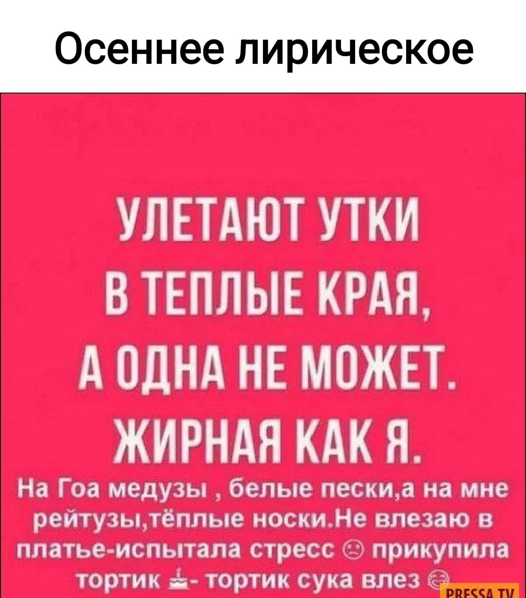 Осеннее лирическое жи 15 НЕ МПРНСЁГ э у і м ВЕЧНЫЕ міні ЧНП пг КШш ХЧКАЧ ГЕР О 3 ИППП пикчи интимными шп