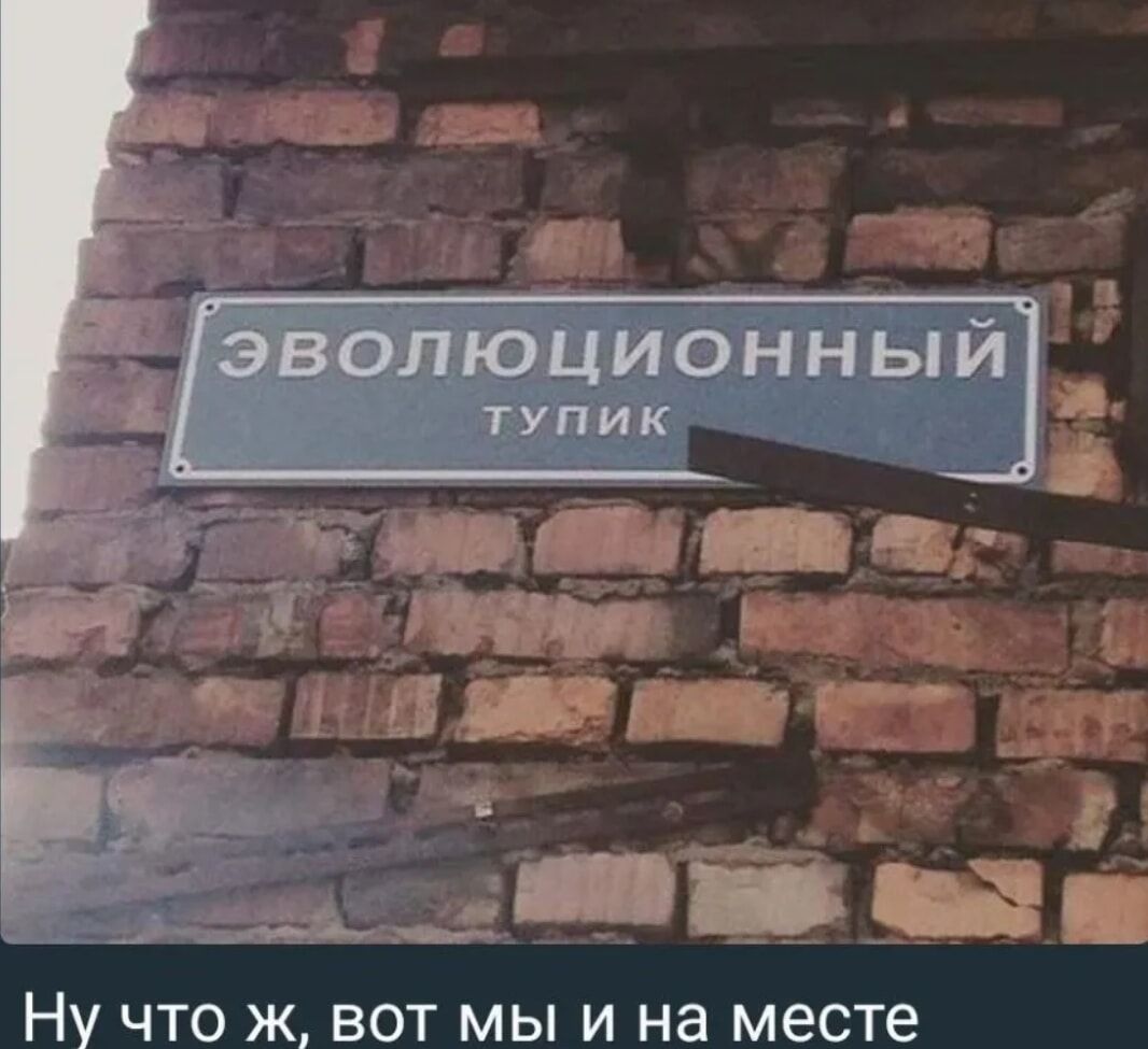 НУ ЧТО Ж ВОТ МЫ И на месте