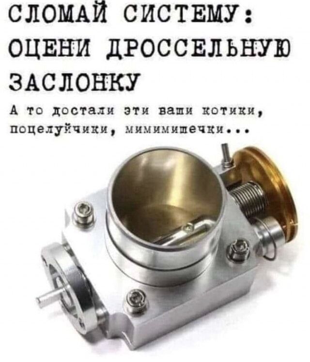 слощй СИСТЕМУ оцвни дгоссвльную здслонку А то достали эти ваши потник попелуйчихи мимимищечки
