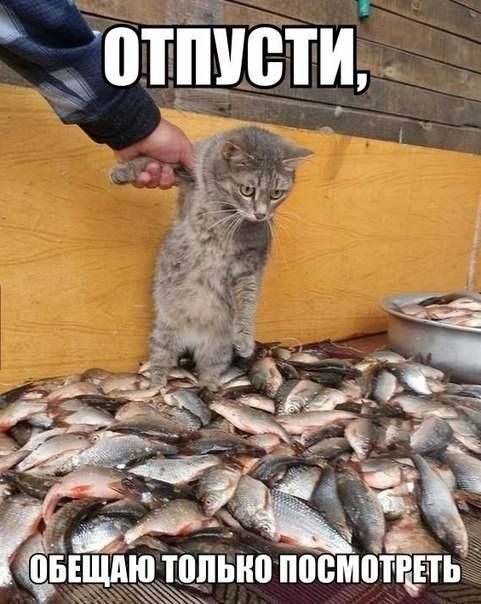 оТПУСТИ Г аи ч лНА ЁЕЁЪЁЮ ПВЁЁП
