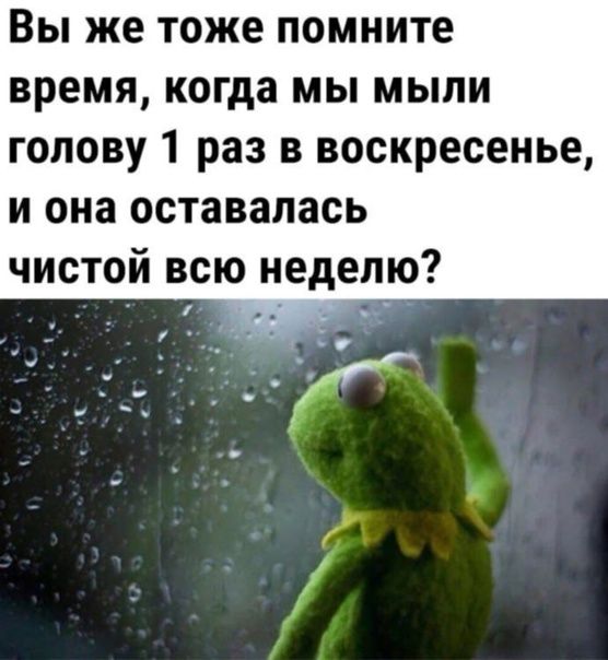 Вы же тоже помните время когда мы мыли голову 1 раз в воскресенье и она оставалась чистой всю неделю