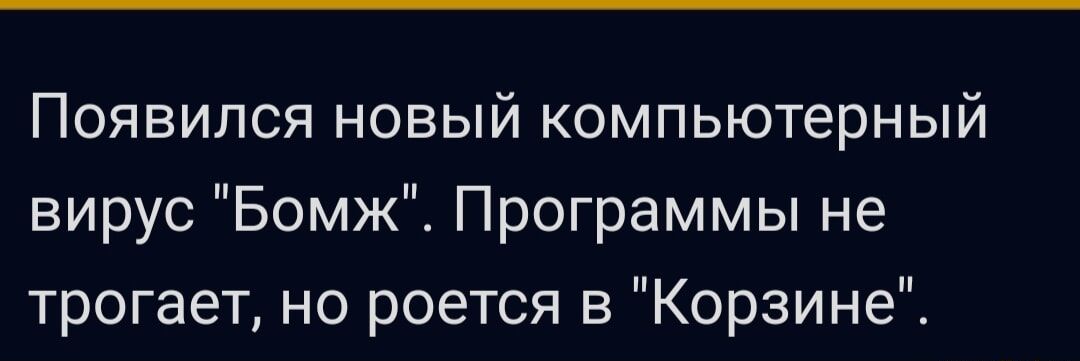 Появился новый компьютерный вирус Бомж Программы не трогает но роется в Корзине