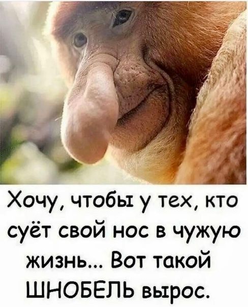 А Хочу чтобы у тех кто суёт свой нос в чужую жизнь Вот такой ШНОБЕЛЬ вырос