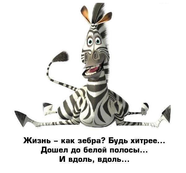 Жизнь как зебра Будь хитрее дошел дп белий ппппсы И вдоль вдаль