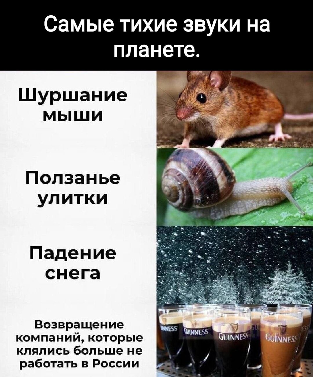 самые Тихие ЗВУКИ на планете Шуршание мыши Ползанье упитки Падение снега Возвращение компаний которые КЛЕПИСЬ больше не работать в России