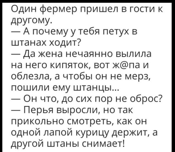 Один фермер пришел в гости к дРУГОМУ А почему у тебя петух в штанах ходит Да кена нечаянно выпила на него кипяток вот кпа и облезпа а чтобы он не мера пошили ему штанцы Он что до сих пор не оброс Перья выросли но так прикольно смотреть как он одной папой курицу держит а другой штаны снимает