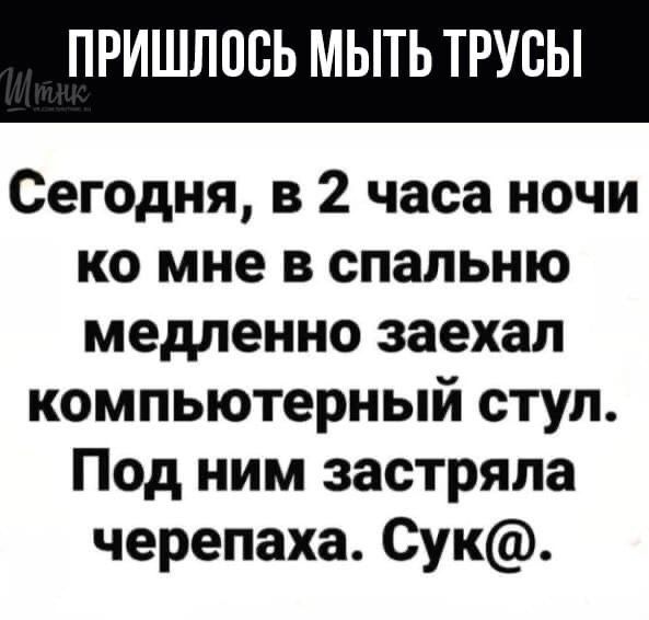 ПРИШЛОСЬ МЫТЬ ТРУБЫ Сегодня в 2 часа ночи ко мне в спальню медленно заехал компьютерный стул Под ним застряла черепаха Сук
