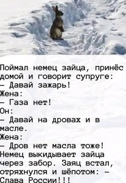 Поймал немец зайца принёс домой и говорит супруге давай зажарь Жена Газа нет Он давай на дровах и в масле Жена дров нет масла тоже Немец выкидывает зайца через забор Заяц встал отряхнупся и шёпотом Слава России