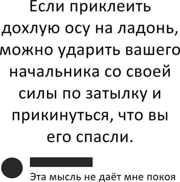 Если приклеить дохлую осу на ладонь можно ударить вашего начальника со своей силы по затылку и прикинуться что вы его спасли Эта мысль не даёт мне покоя