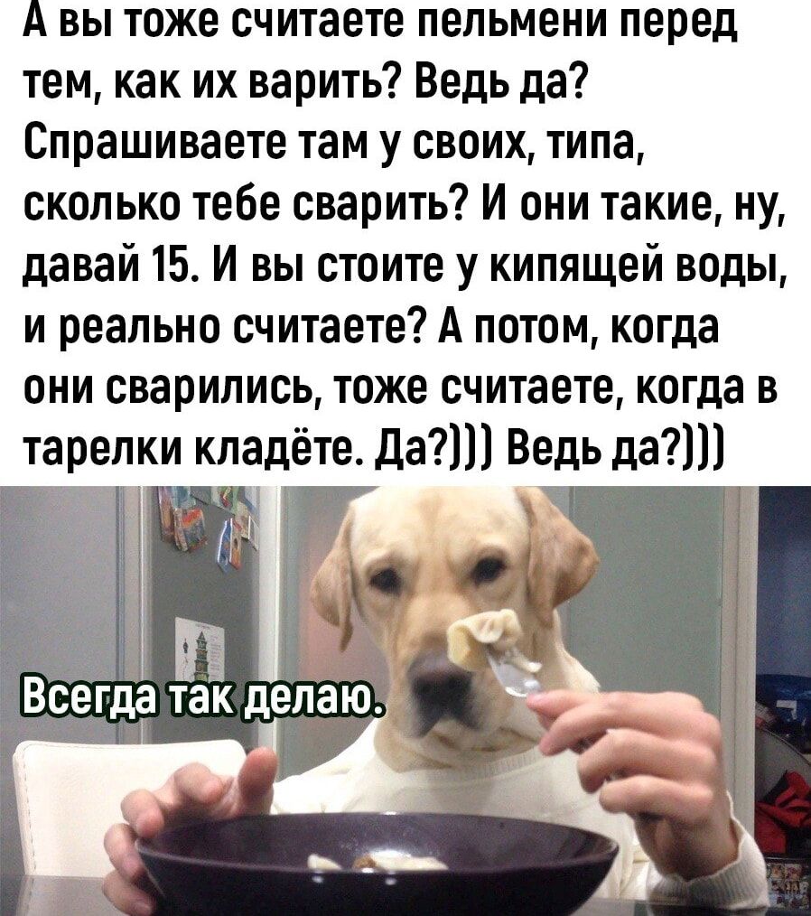 А вы тоже считаете пельмени перед тем как их варить Ведь да Спрашиваете там у своих типа сколько тебе сварить И они такие ну давай 15 И вы стоите у кипящей воды и реально считаете А потом когда они саарипись тоже считаете когда в тарелки кладёте да Ведь да А _ т