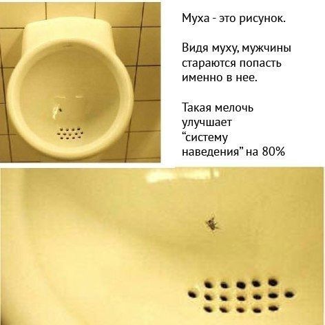 Муха это рисунок в муху мужчины параши попасть именно в нее Такая мелочь улучшает систему наведения на 80 О О О О