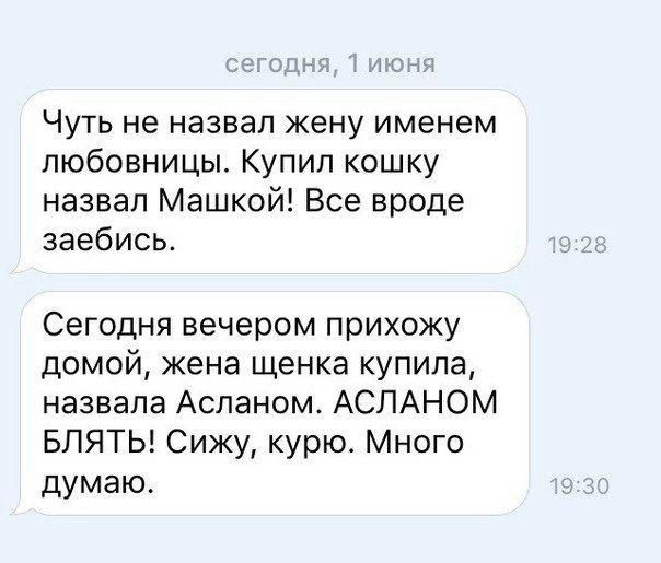 иш Чуть не назвал жену именем любовницы Купил кошку назвал Машкой Все вроде заебись Сегодня вечером прихожу домой жена щенка купила назвала Аспаном АСЛАНОМ БЛЯТЬ Сижу курю Много думаю