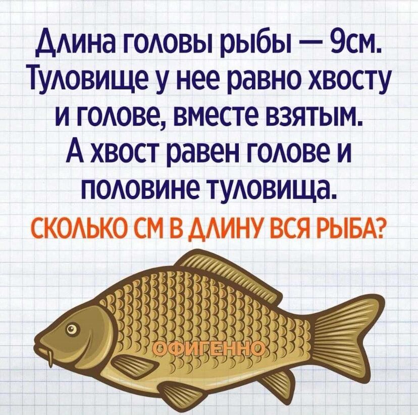 ААина ГОАОВЫ рыбы 9см ТуАовище у нее равно хвосту и годове вместе взятым А хвост равен годове и подовине туАовища СКОАЬКО СМ В ААИНУ ВСЯ РЫБА