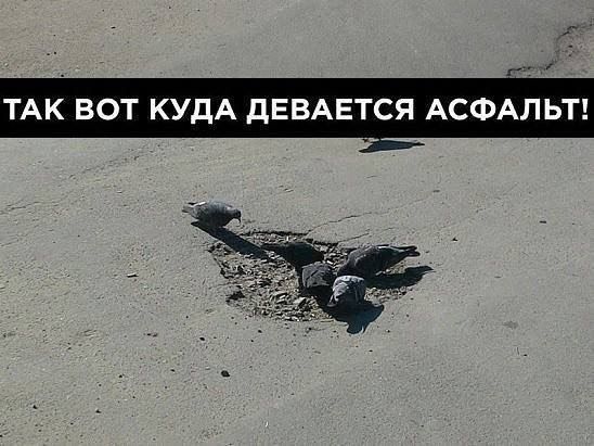 ТАК ВОТ КУДА дЕВАЕТСЯ АСФА