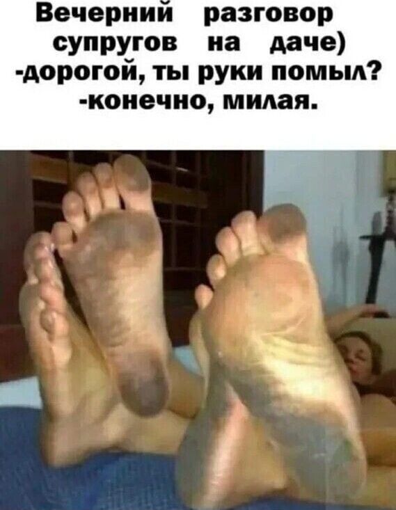 Ввчориии разговор супругов на даче дорогой ты руки помыл коиечио милая