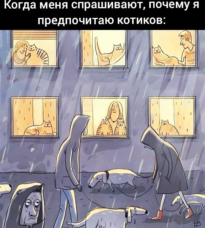 огда меня спрашивают ПОЧЕМУ Я