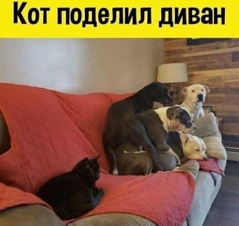 Т Н Ю ШШ _ П _1 В __3 7