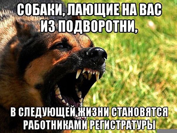 зЁПДНЗЩИЕ Нд ВМ дВЩМНИ
