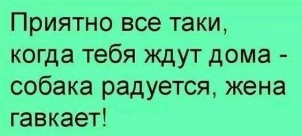 Приятно все таки когда тебя ждут дома собака радуется жена гавкает