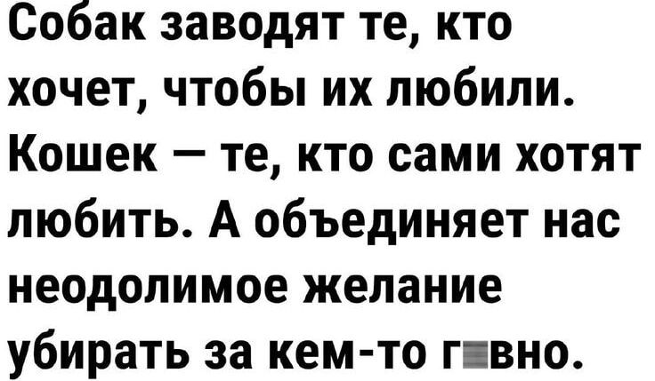 Собак заводят те кто хочет чтобы их любили Кошек те кто сами хотят любить А объединяет нас неодолимое желание убирать за кем то г вно