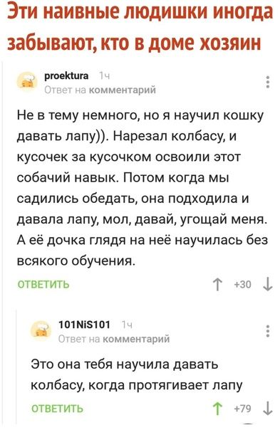 Эти наивные людишки иногда забывают кто в доме хозяин птиц комменганип Не в тему немного но я научил кошку давать лапу Нарезал колбасу и кусочек за кусочком освоили этот собачий навык Потом когда мы садились обедать она подходила и давала лапу мол давай угощай меня А её дочка глядя на неё научилась без всякого обучения отвпить Т ьзо 715101 комментарий Это она тебя научила давать колбасу когда прот