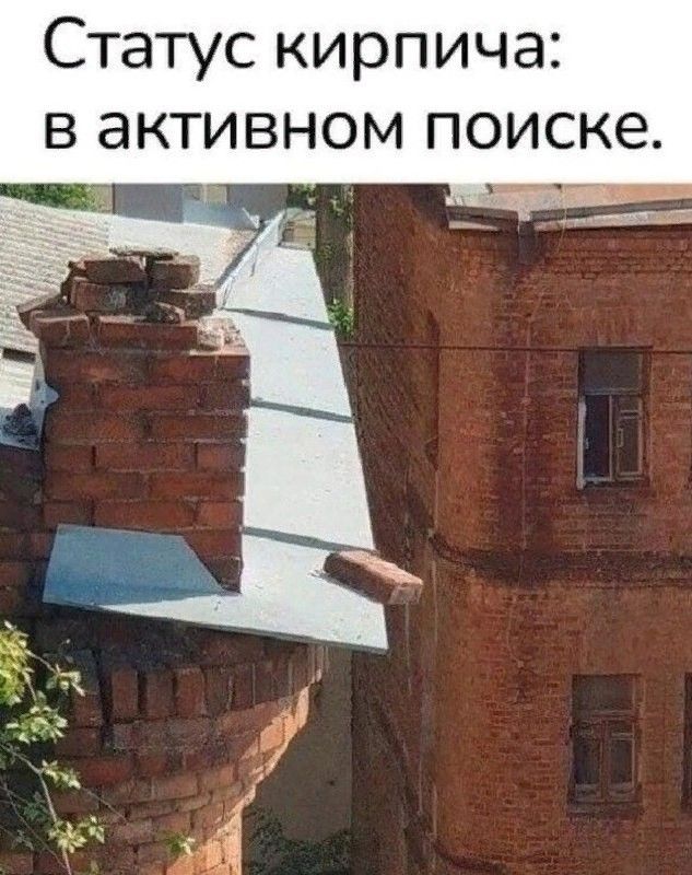 Статус кирпича в активном поиске