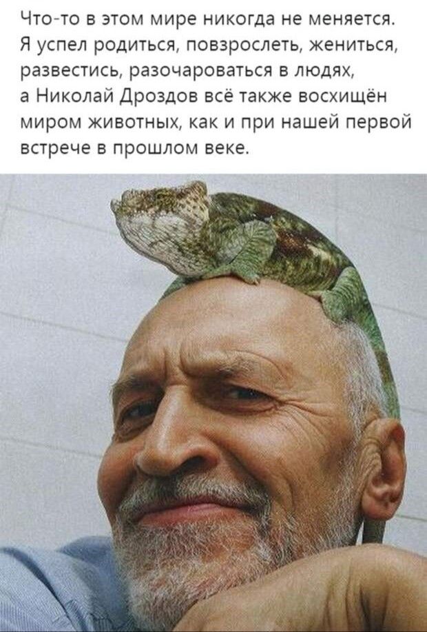 Что то в этом мире никогда не меняется Я успел родиться повзрослеть жениться развестись разочароваться в людях а Николай Дроздов все также восхищен миром животных как и при нашей первой встрече в прошлом веке