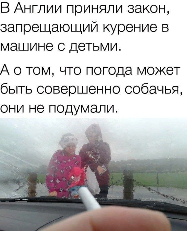 В Англии приняли закон запрещающий курение в машине с детьми А о том что погода может быть совершенно собачья они не подумали