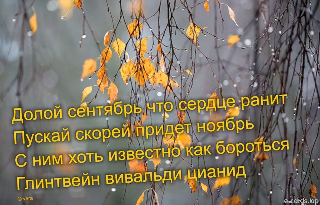 Долой сё ітя _ _ ни ё Пускаиркореийртжлоя рь Сни Ьть ИЗЁЬ _о Глинтвейн вив Бди иа д П