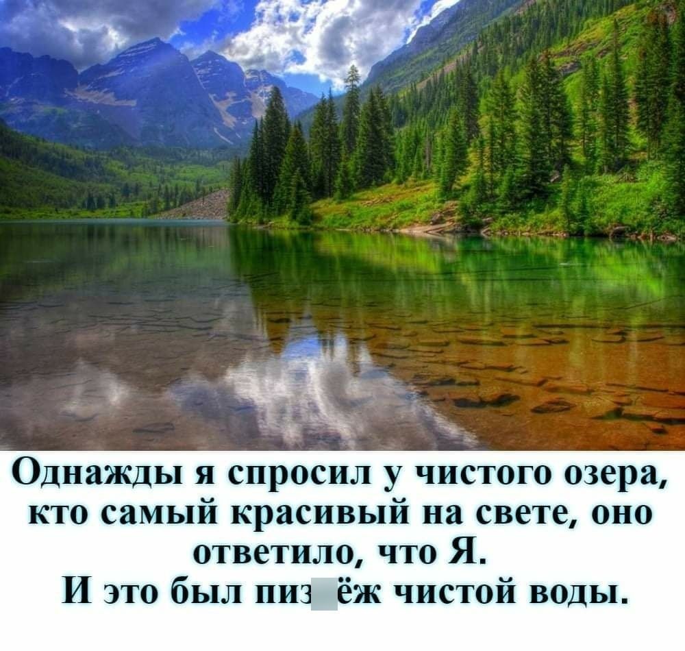 Однажды я спросил у чистого озера кю самый красивый на свете оно ответили что Я И это был ни ёж чистой воды