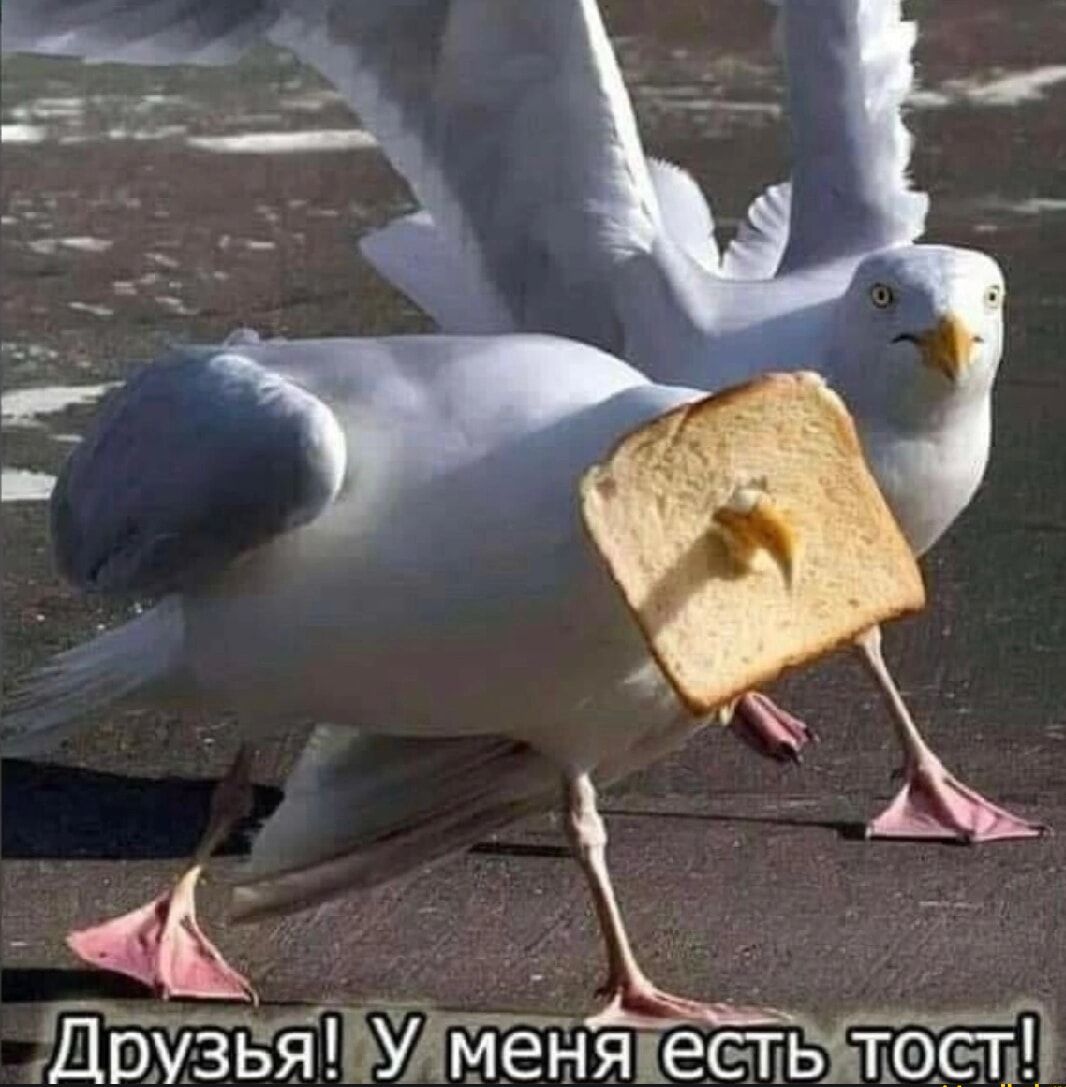 менятестьстост