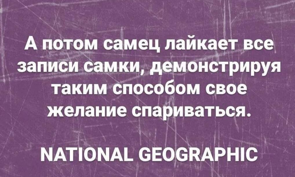 А потом самец пайкает все записи самки демонстрируя таким способом свое желание спариваться МАТЮММ СЕОСПАРНЮ