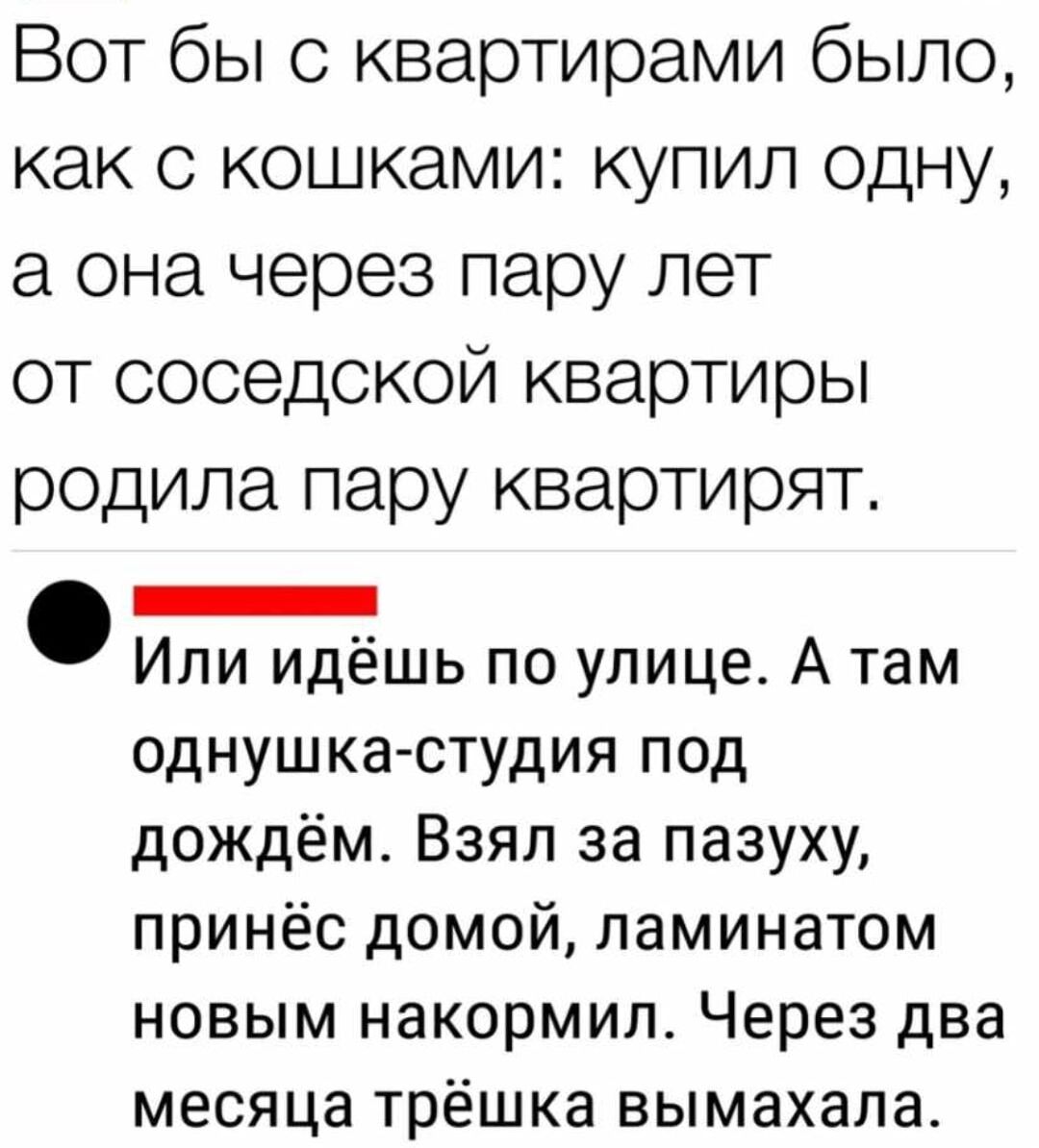 Вот бы с квартирами было как с кошками купил одну а она через пару лет от соседской квартиры родила пару квартирят _ Или идёшь по улице А там однушка студия под дождём Взял за пазуху принёс домой ламинатом новым накормип_ Через два месяца трёшка вымахала