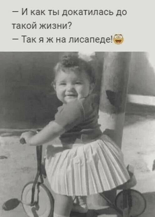 И как ты докатилась до такой жизни Так я ж на писапеде